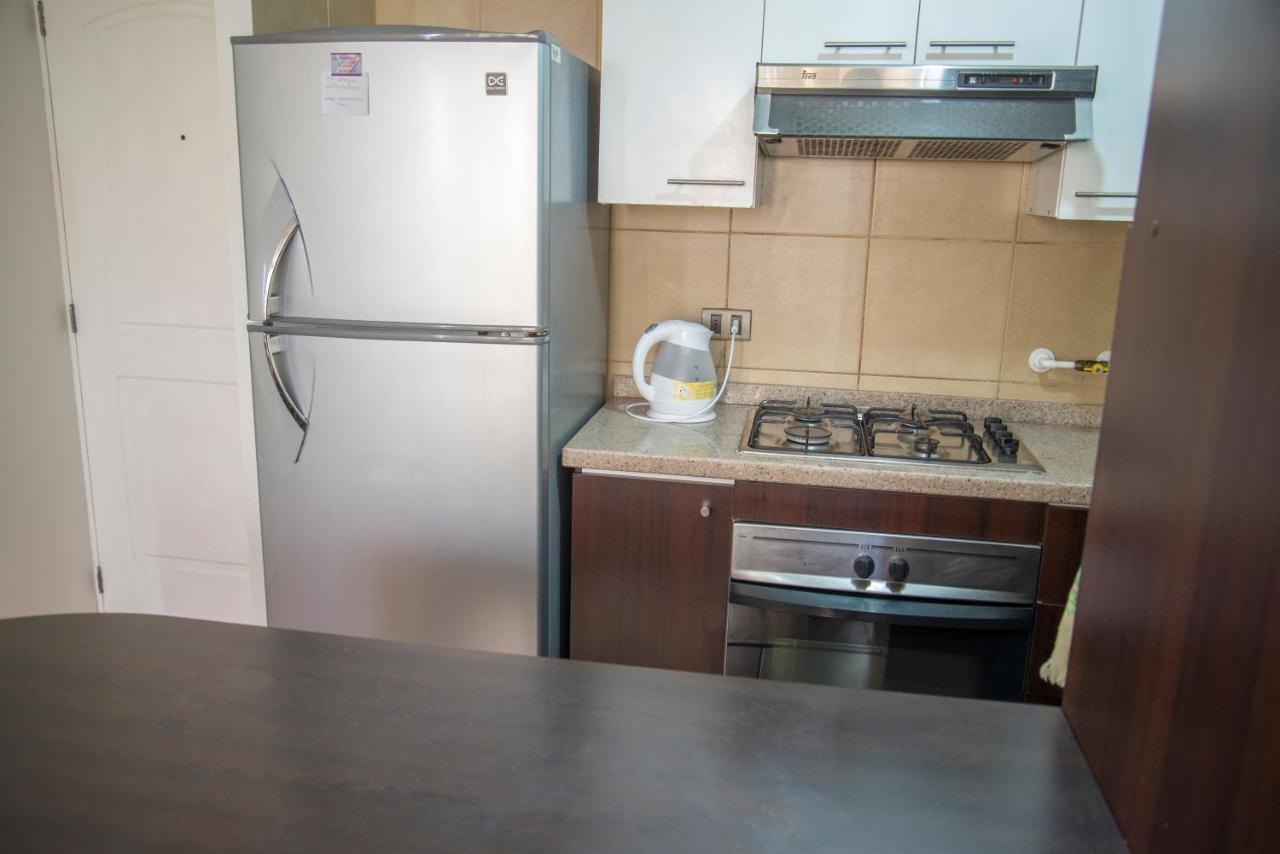 Bellavista Departamento Amoblado Διαμέρισμα Σαντιάγκο Εξωτερικό φωτογραφία